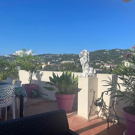 Cannois Avec Rooftop