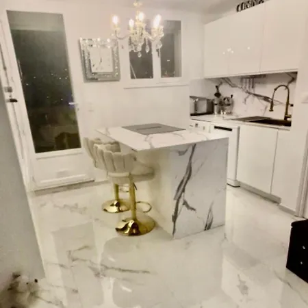 Cannois Avec Rooftop アパート カンヌ