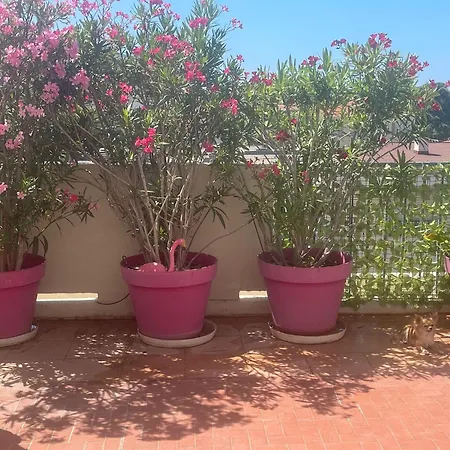 Cannois Avec Rooftop カンヌ